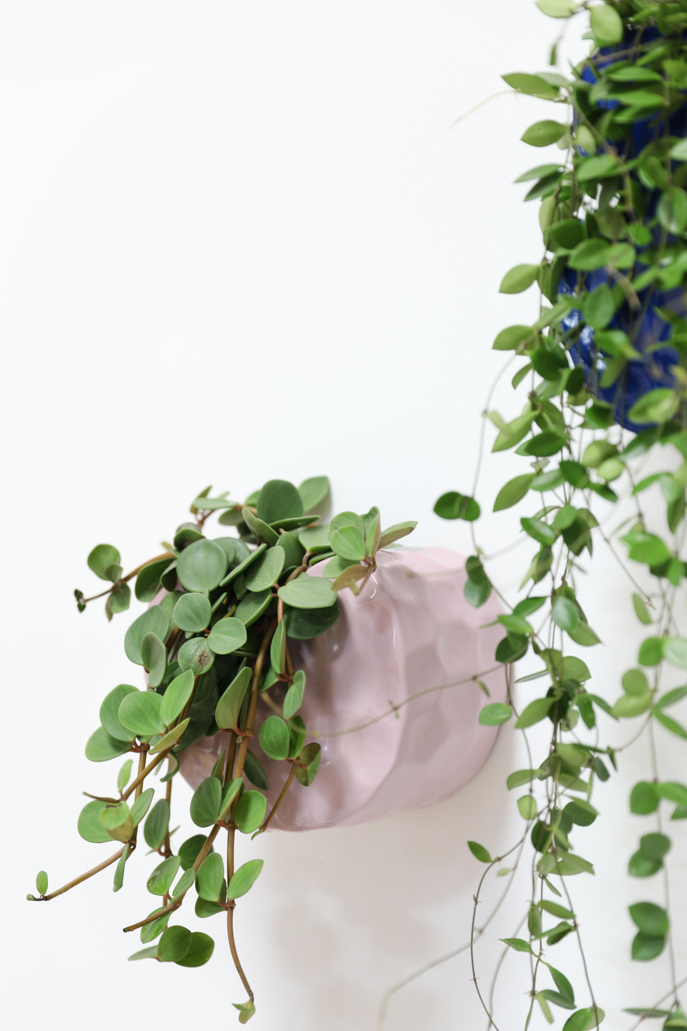 Doniczka ścienna CLAY liliowy