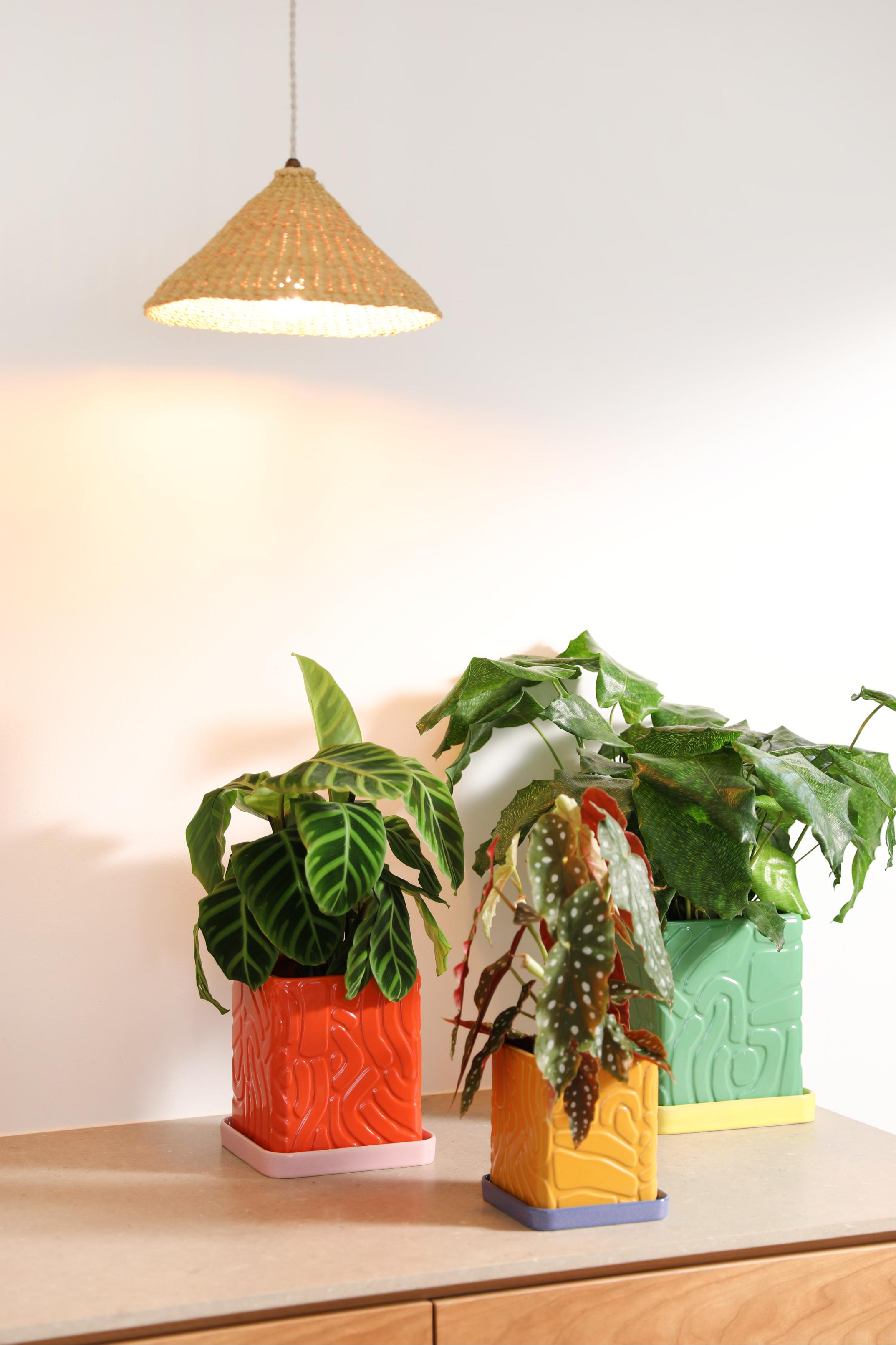 Doniczka TRIBE zielony z żółtą podstawką