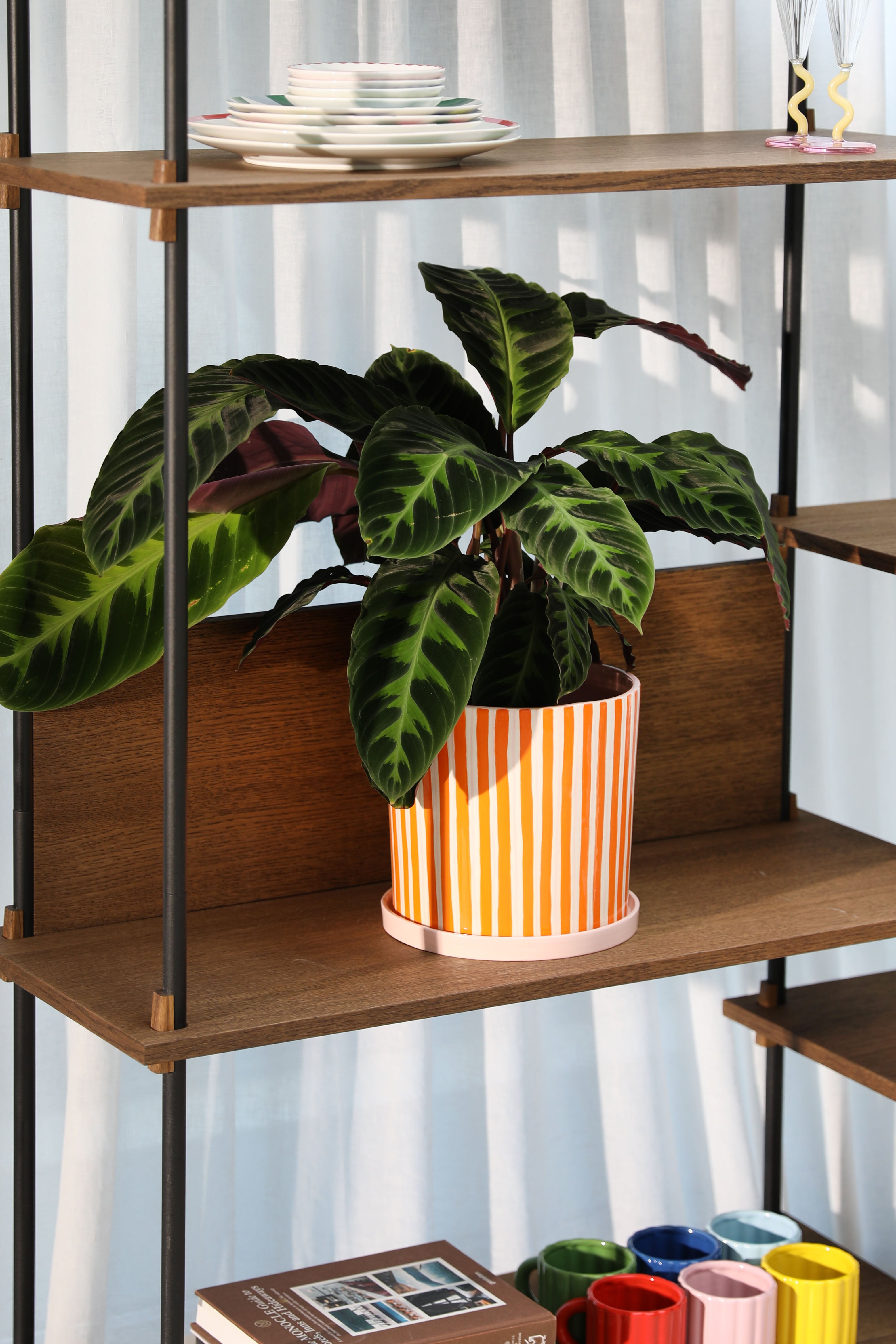 Doniczka RAY pomarańczowy z białym i różowym