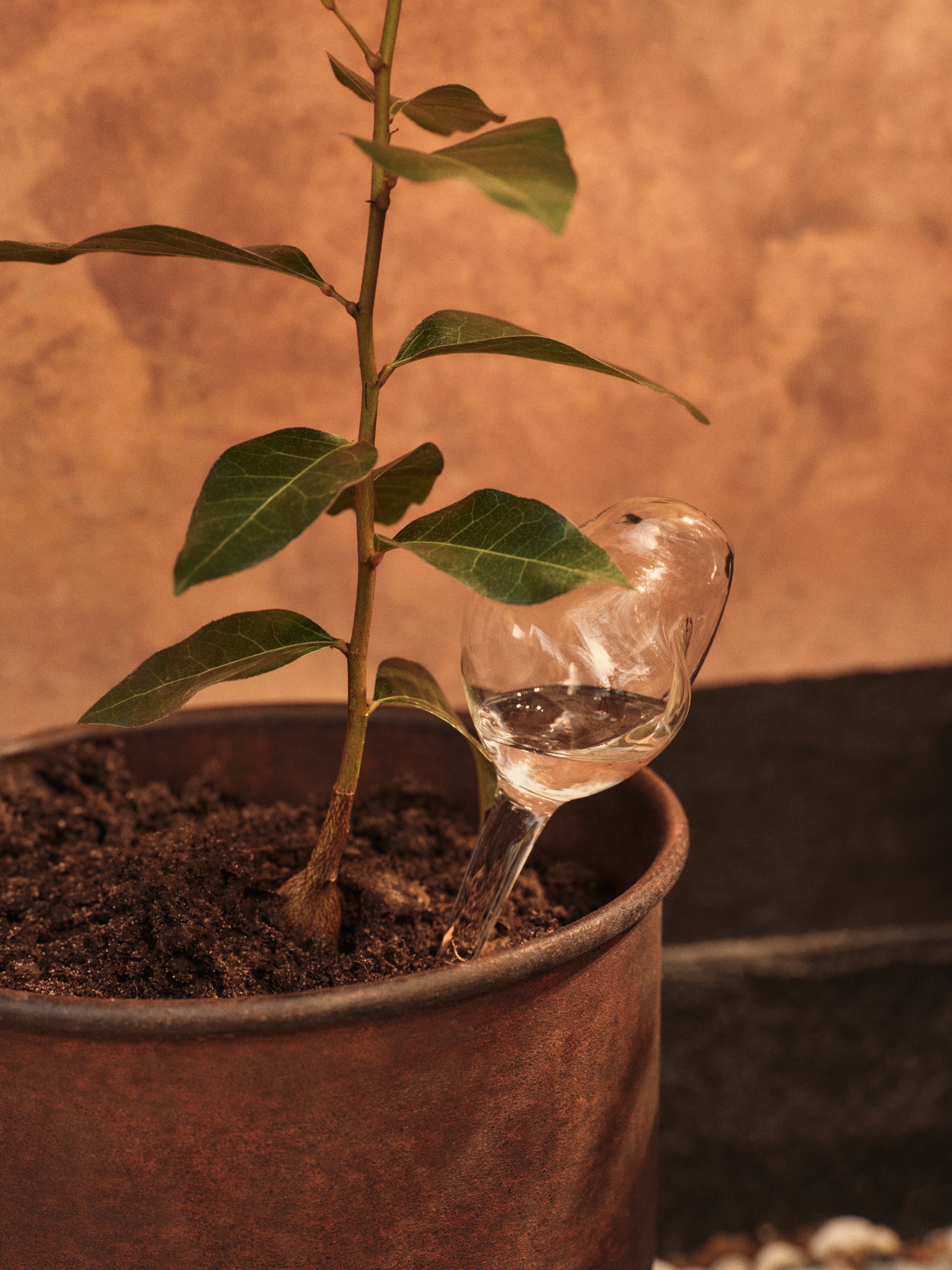 Zestaw kul nawadniających MERCURY szkło