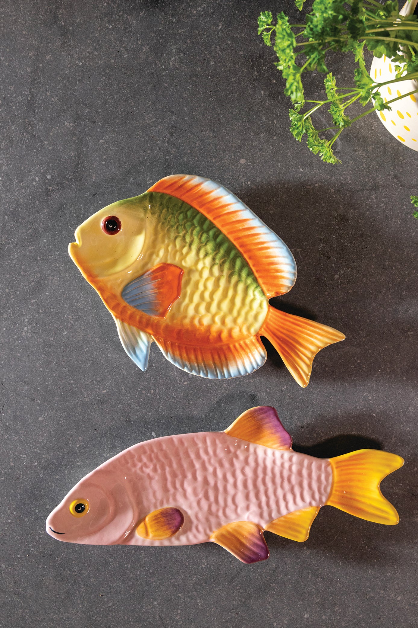 Teller FISCH SNAPPER rosa mit gelb