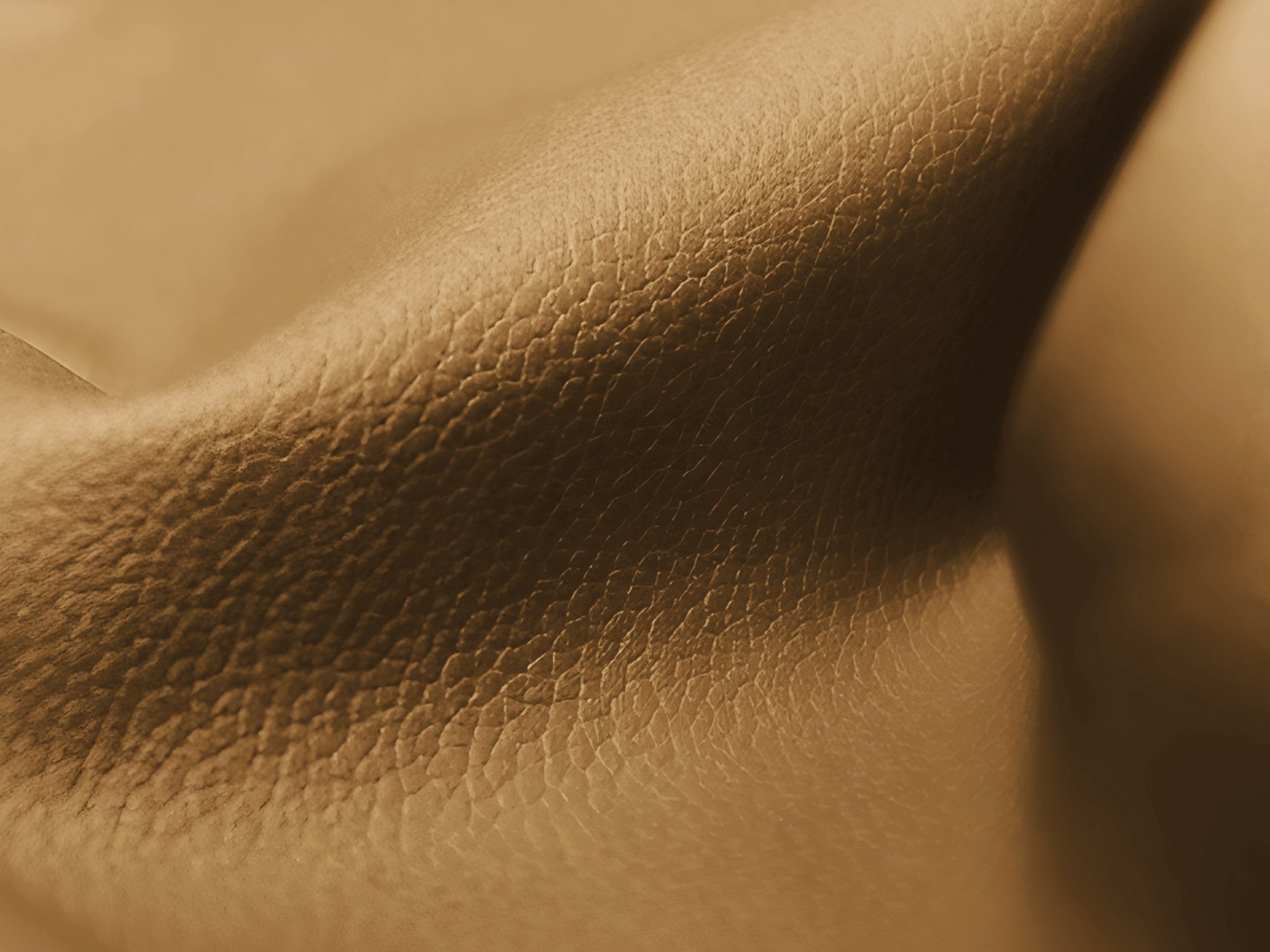 Fotel / moduł LOKUA karmelowa skóra ekologiczna