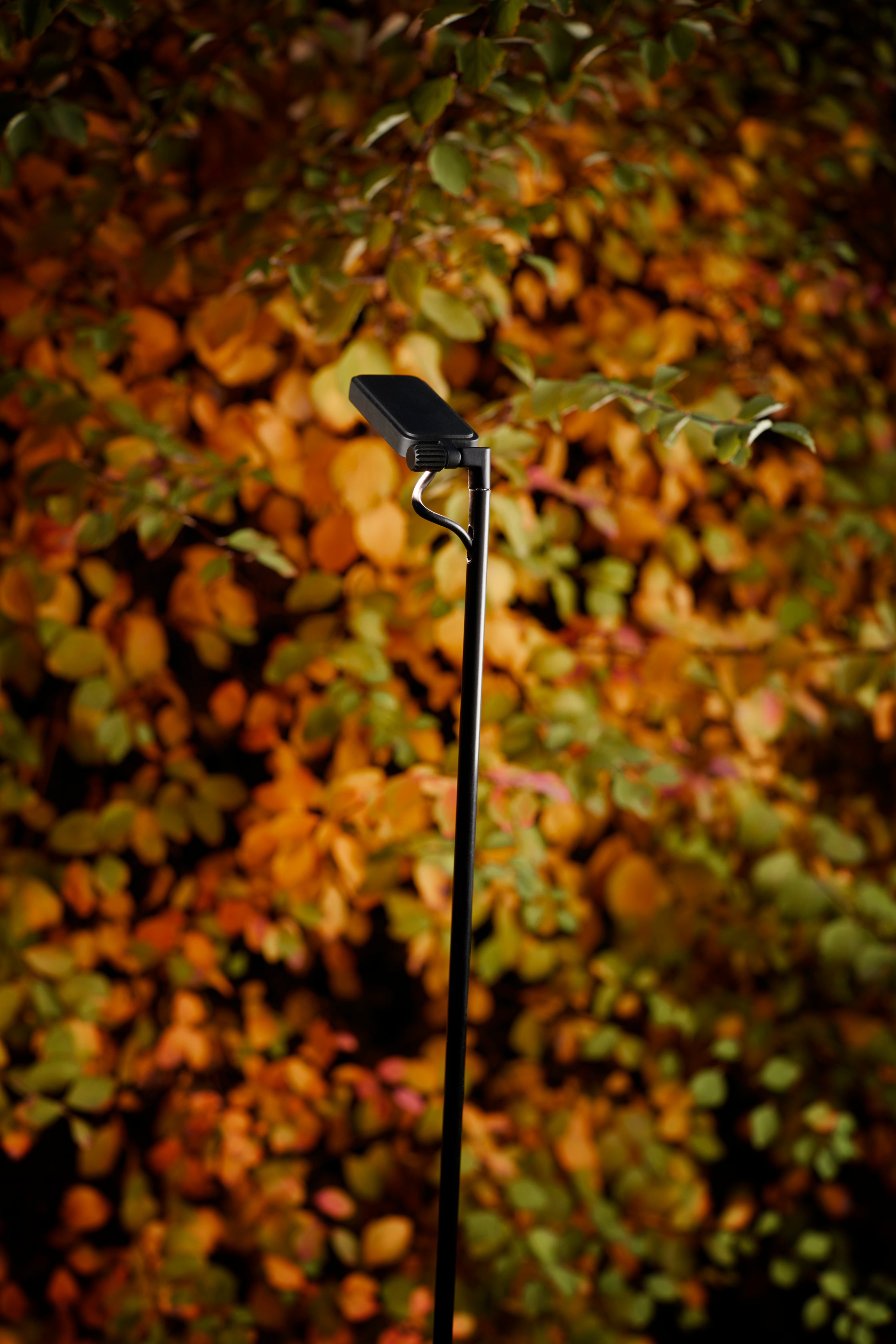 Lampa stojąca zewnętrzna pojedyncza FLIA czarny