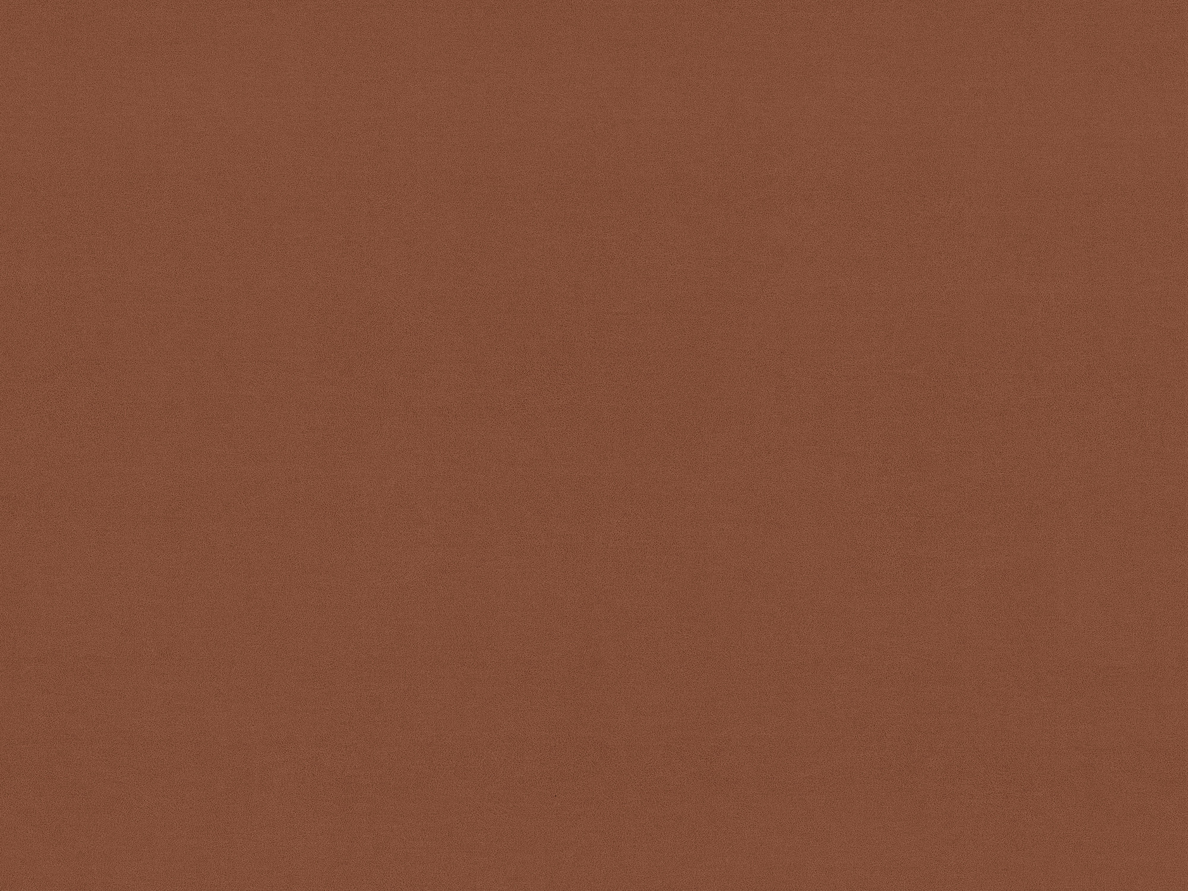 Aveline Velvet Bed Almond Beige