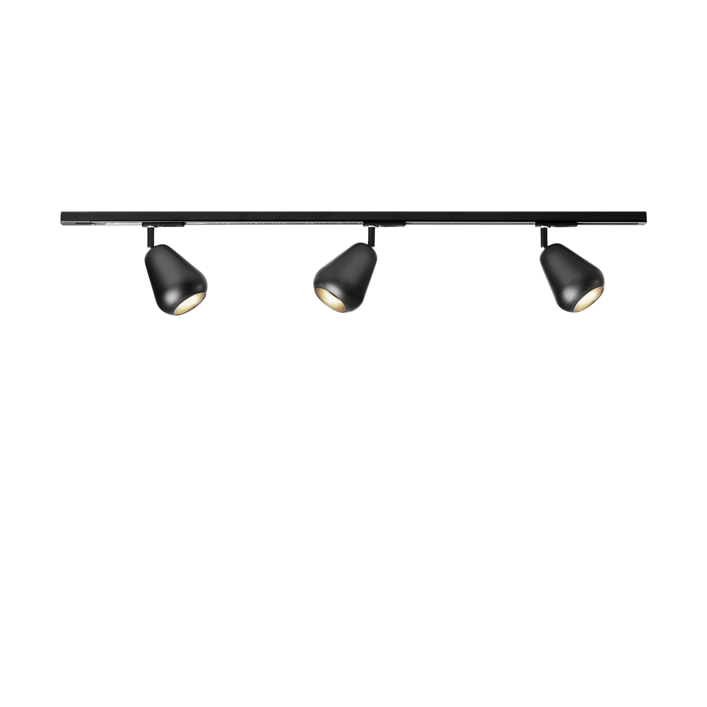 ANOLI black three-point ceiling lamp