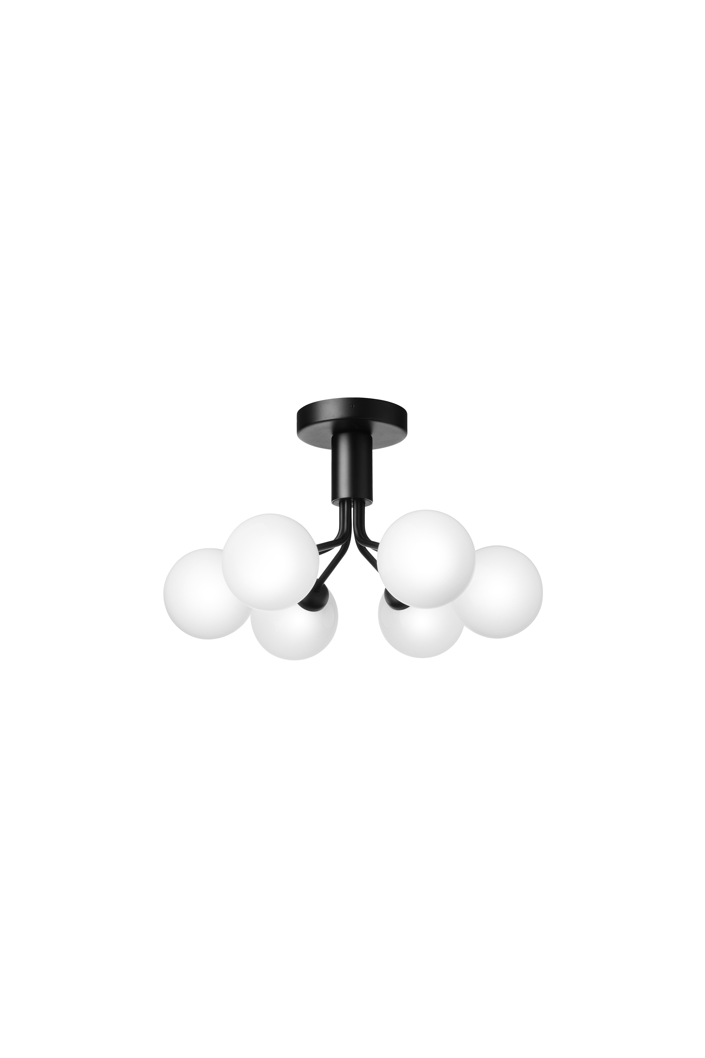 APIALES 6 Black Ceiling Lamp with Opal Glass [Antonina] [Amelia spr]