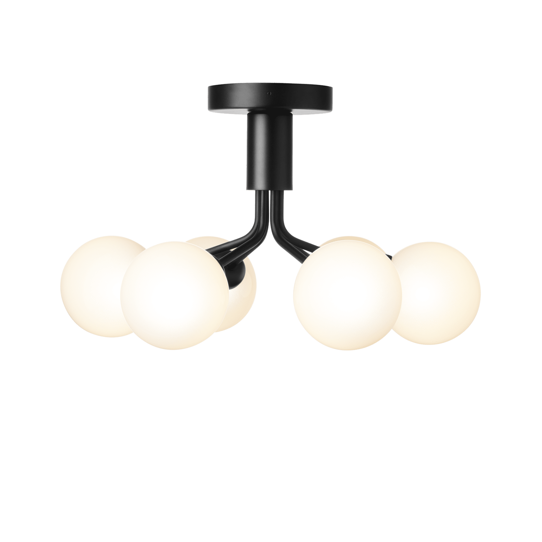 APIALES 6 Black Ceiling Lamp with Opal Glass [Antonina] [Amelia spr]