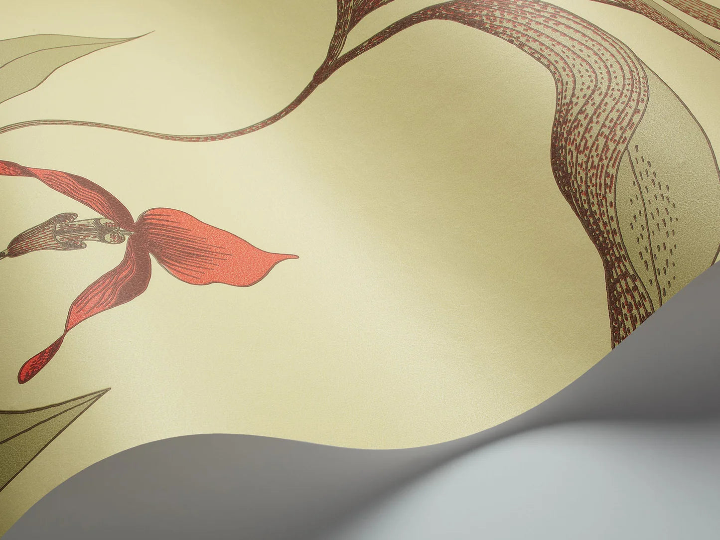 Tapeta z motywem roślinnym kwiatów orchidei CONTEMPORARY COLLECTION - ORCHID oliwkowy z pomarańczowym