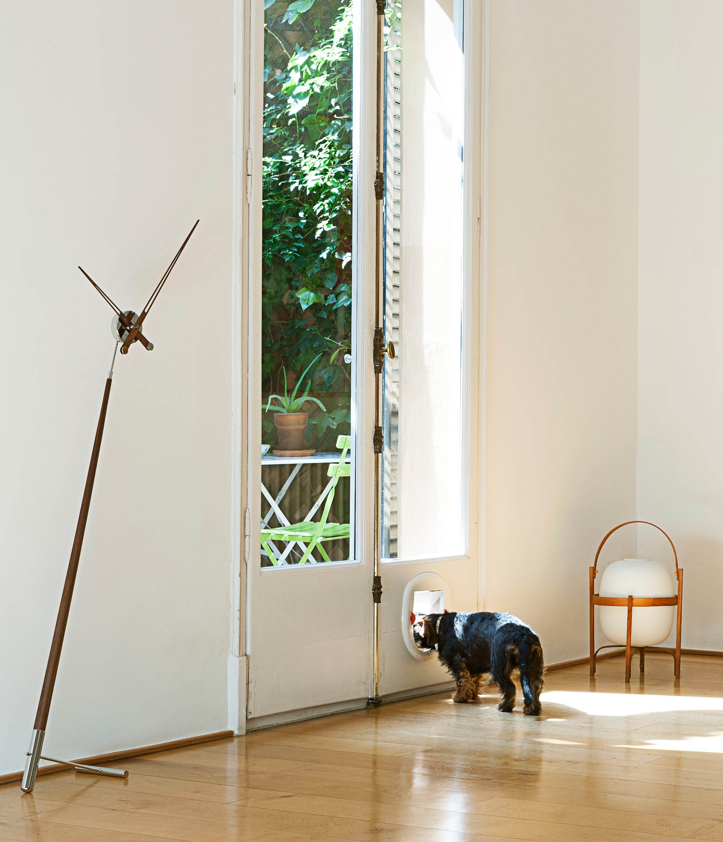 PISA floor clock walnut wood with chrome finish