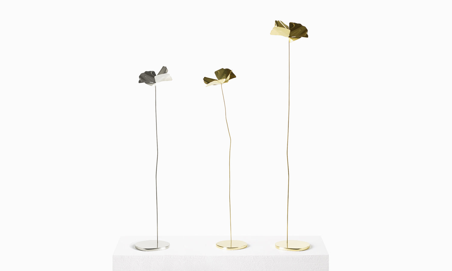 PAPAVERO gold decoration