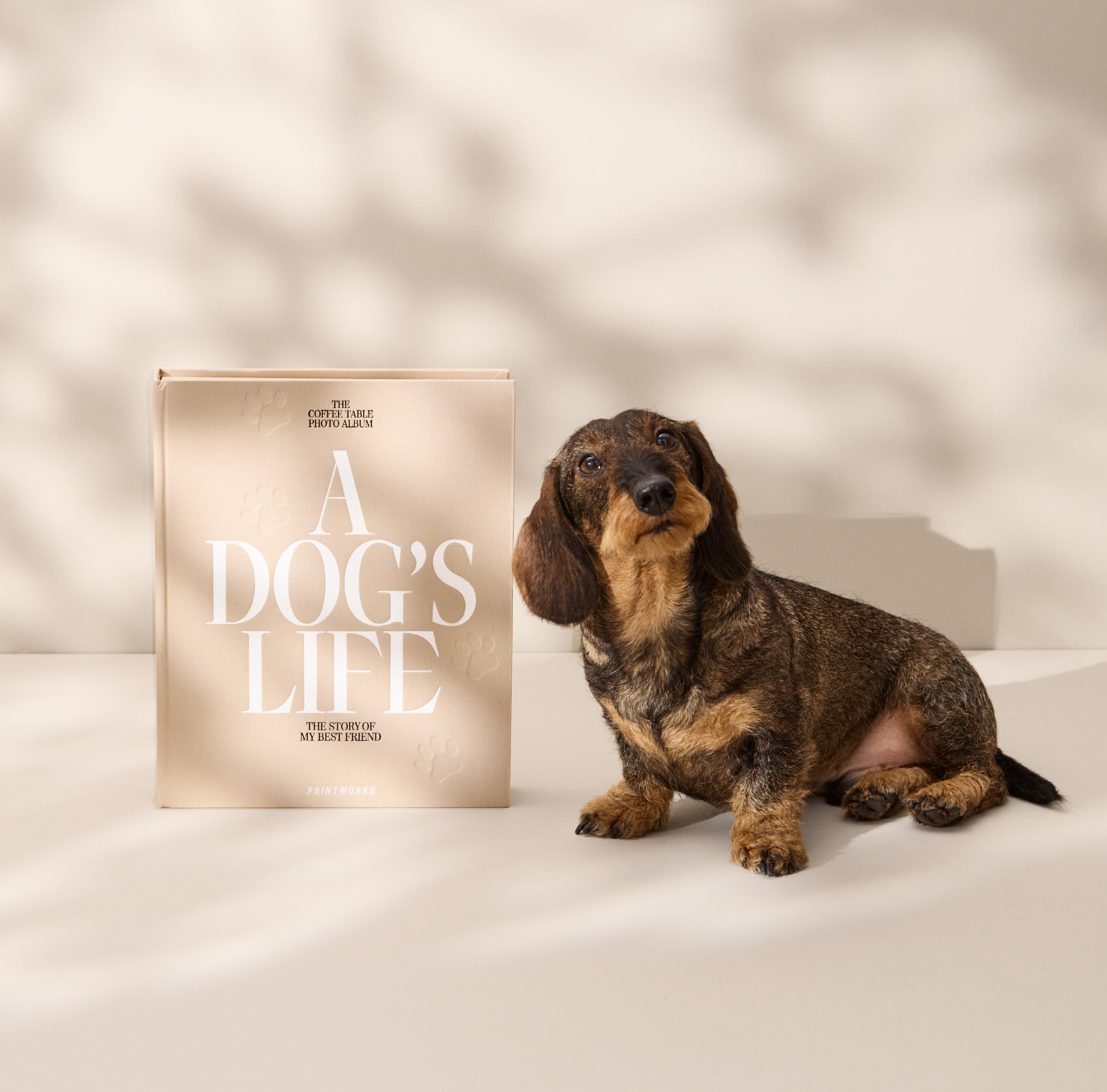 A DOG'S LIFE Photo Album Beige