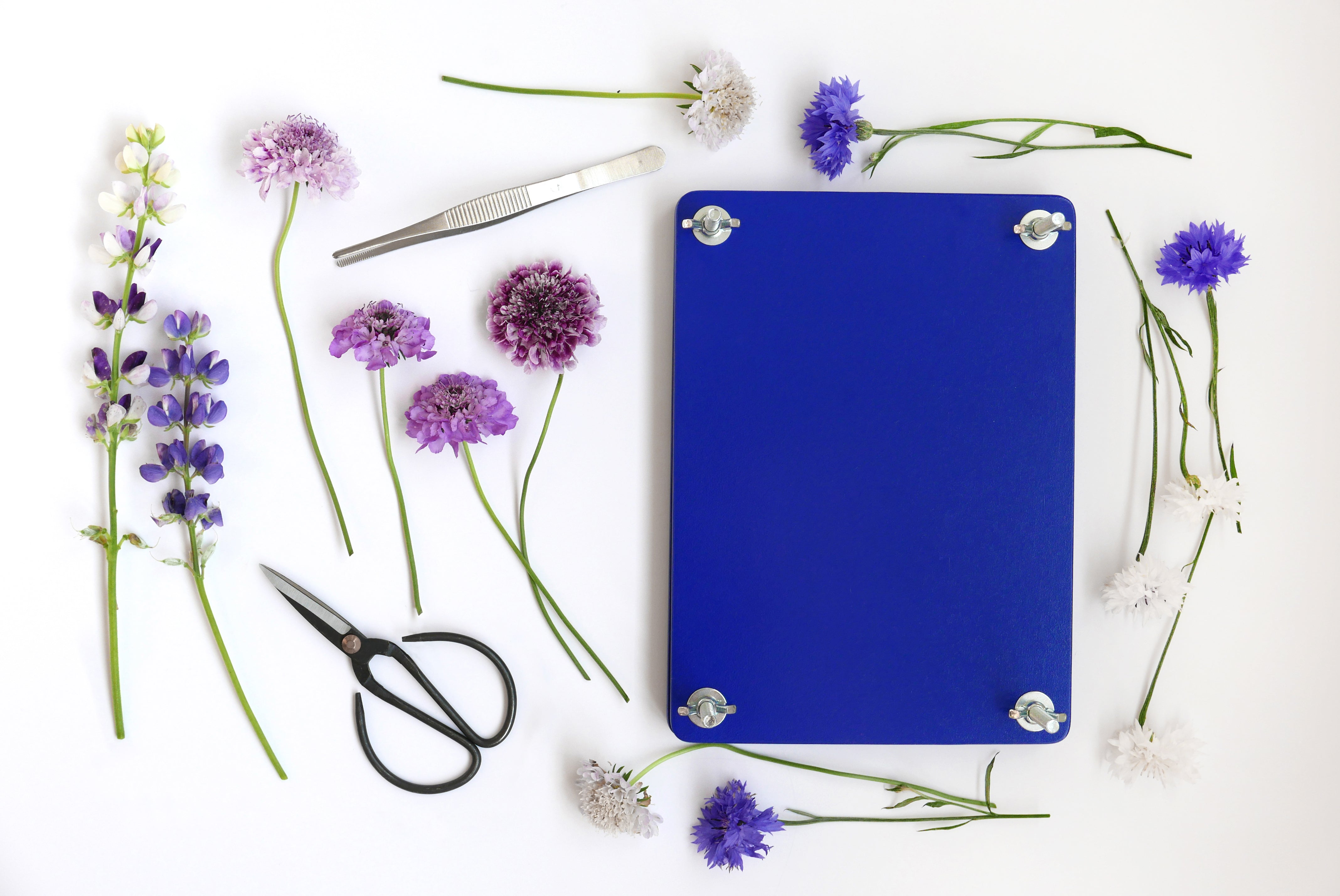 Zestaw do suszenia kwiatów FLOWER PRESS SET niebieski