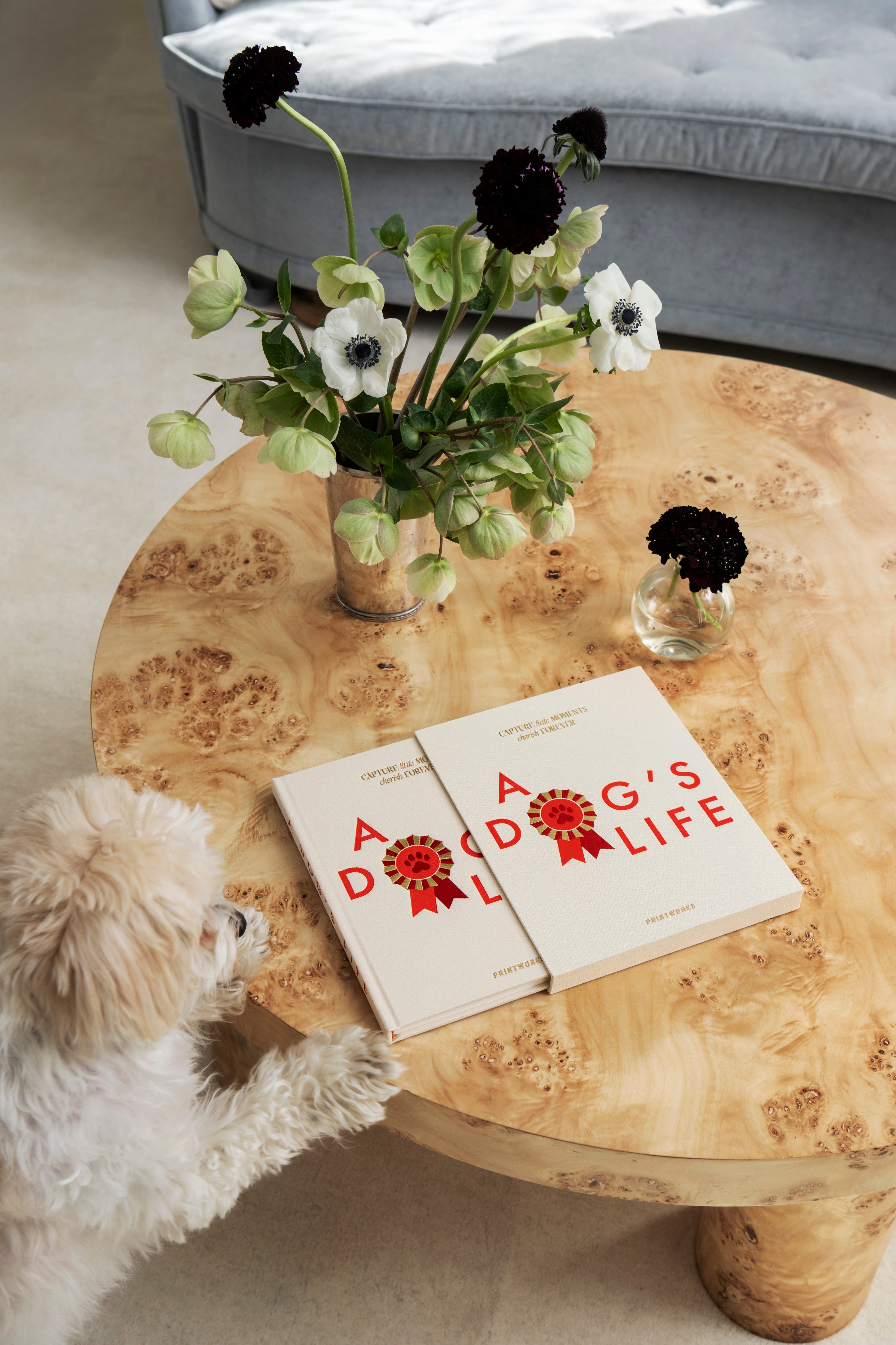 Dziennik A DOG'S LIFE beżowy z czerwonym