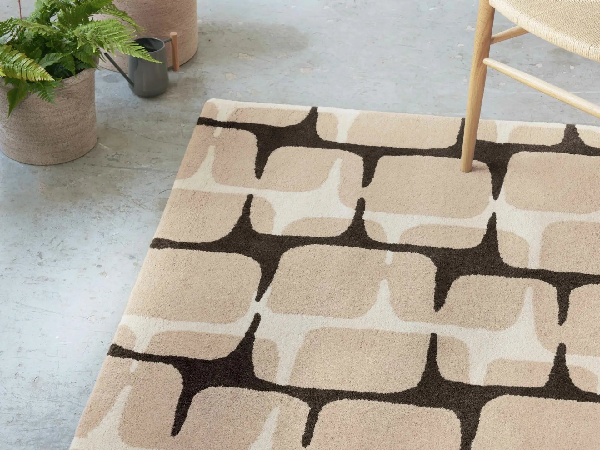 LOHKO SKY Beige Rug with Black and Coffee