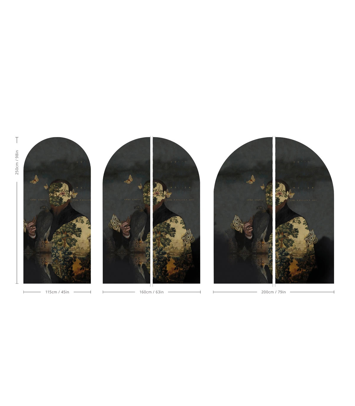 Vlies-Tapete in Bogenform GENTLEMAN MOTH dunkelgrau