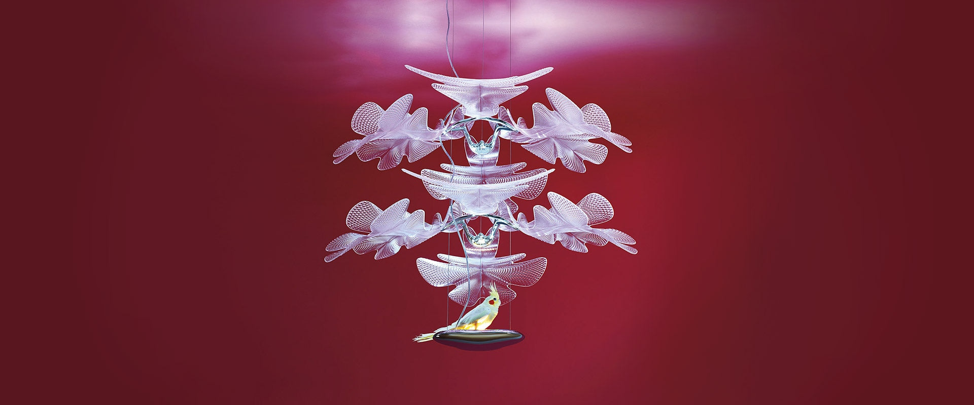 CHLOROPILIA 2 Chrome Pendant Lamp