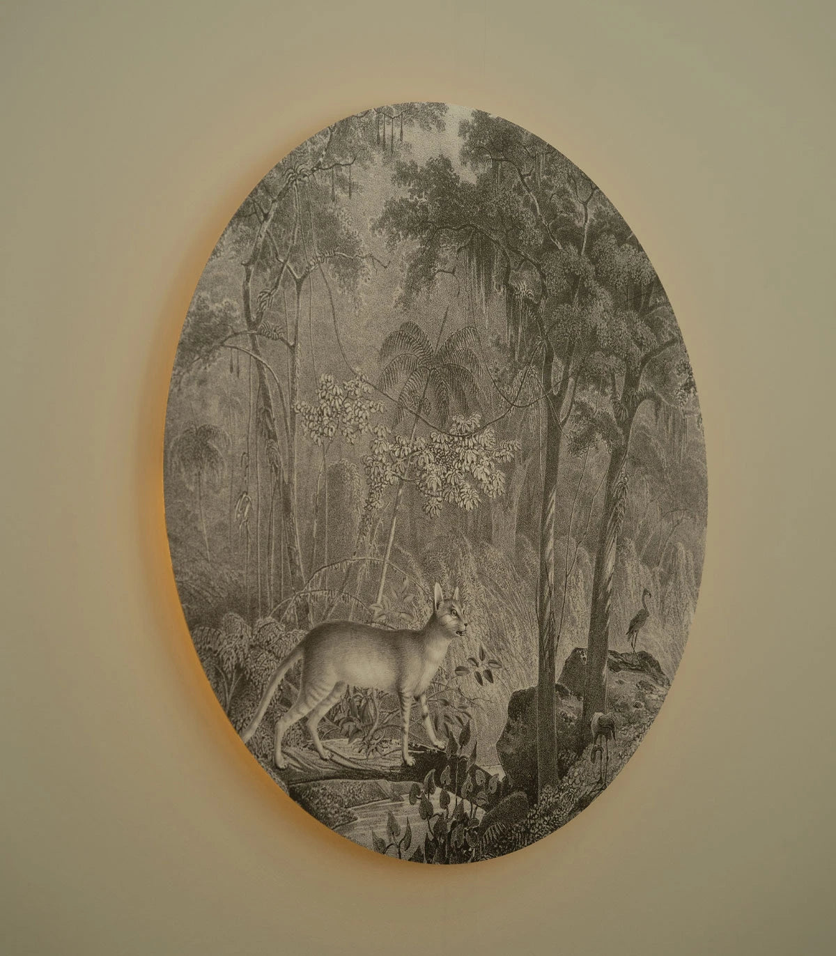 Lampa ścienna DOTS LIGHTING - JUNGLE CAT szary