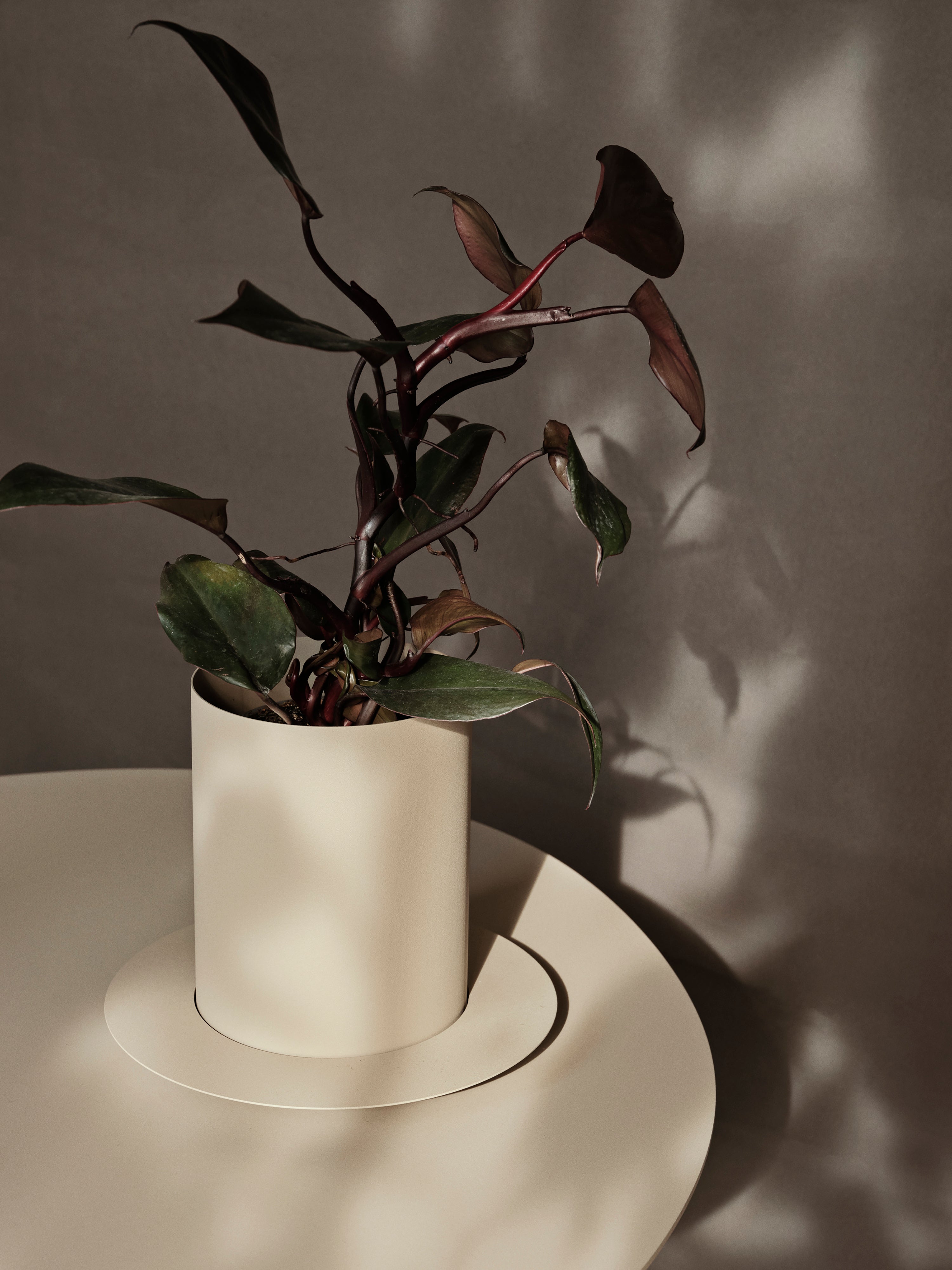 AURAN Blumentopf beige 