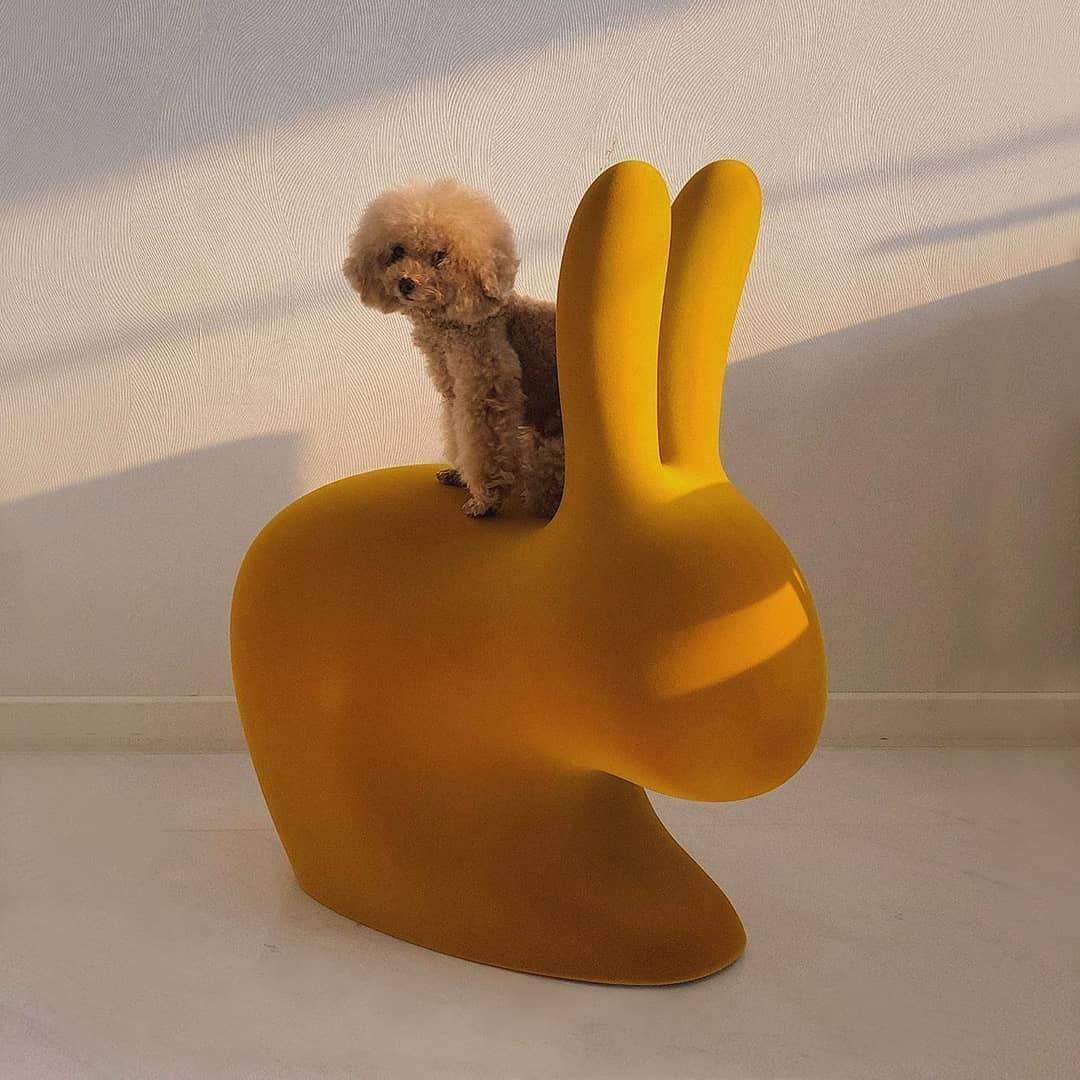Krzesło RABBIT VELVET musztardowy Qeeboo    Eye on Design