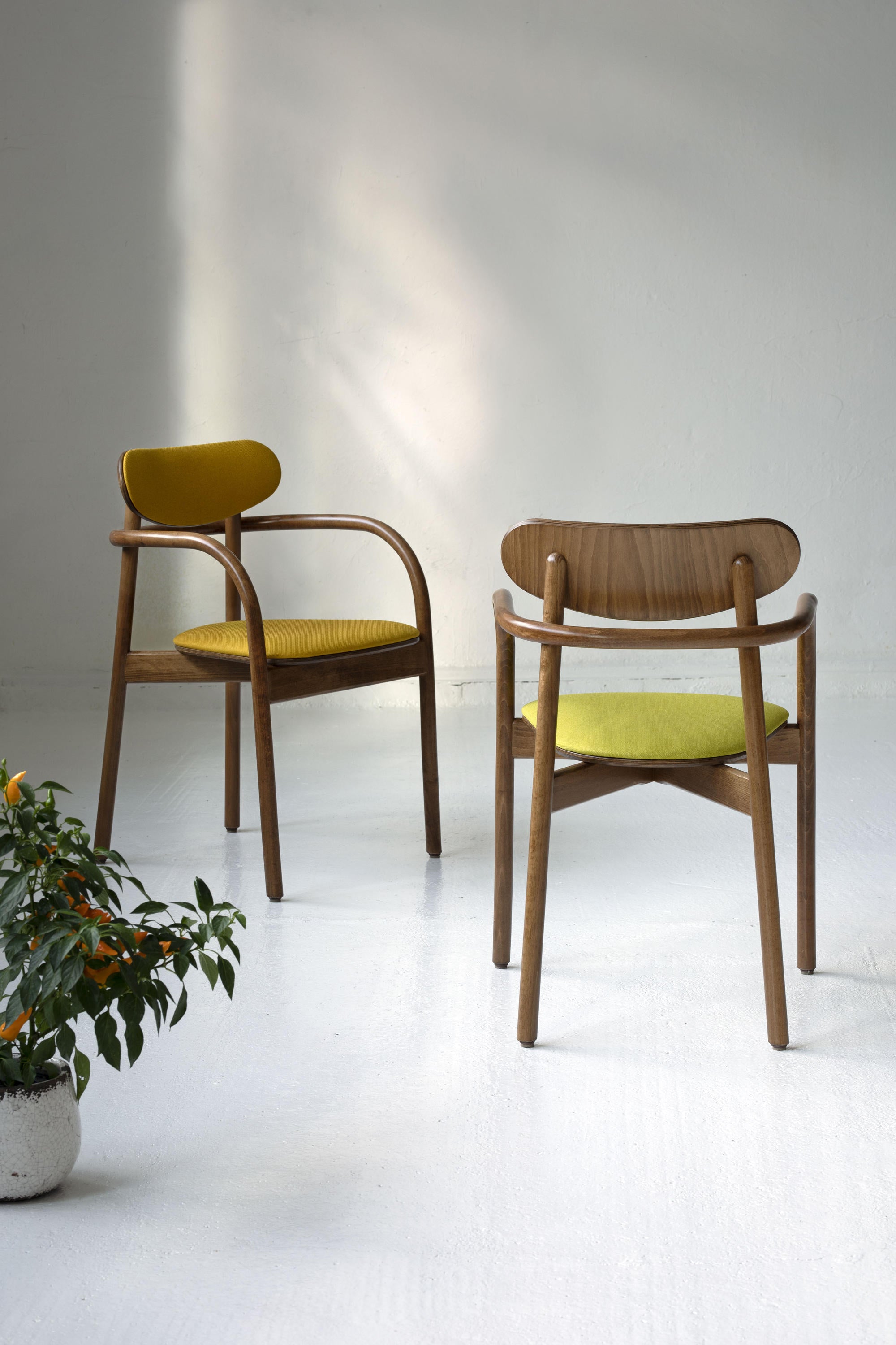 La berda B-2960 armchair beech wood