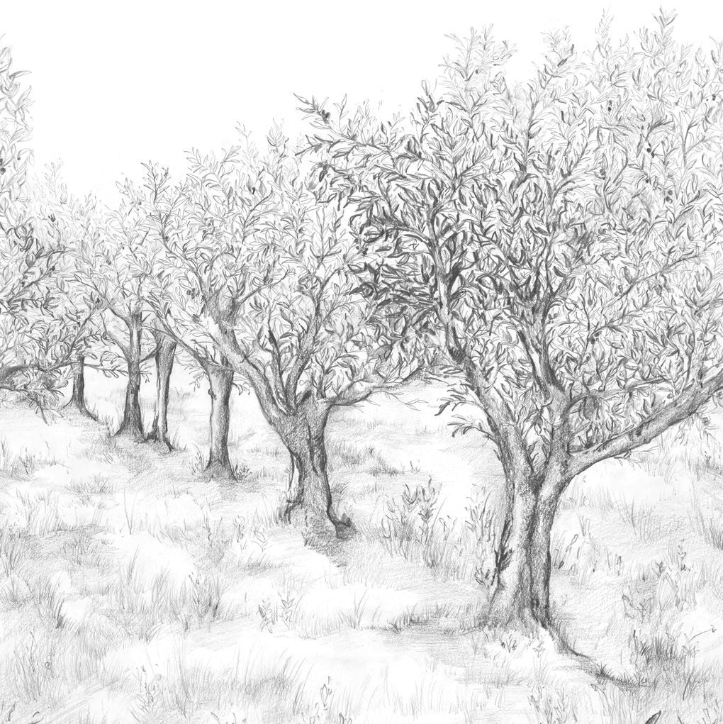 Mural z krajobrazem z motywem drzew LAURIS INT - NOIR/BLANC czarno-biały