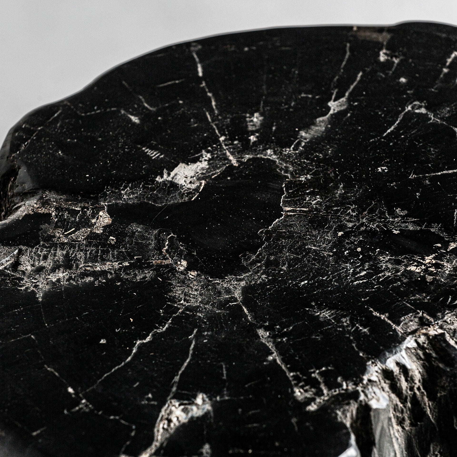 TELTI Side Table Black Petrified Wood