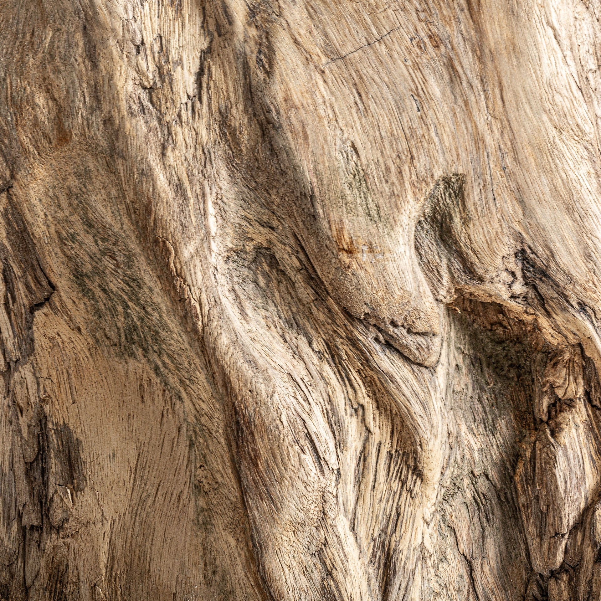 Stolik kawowy KHALED drewno suar