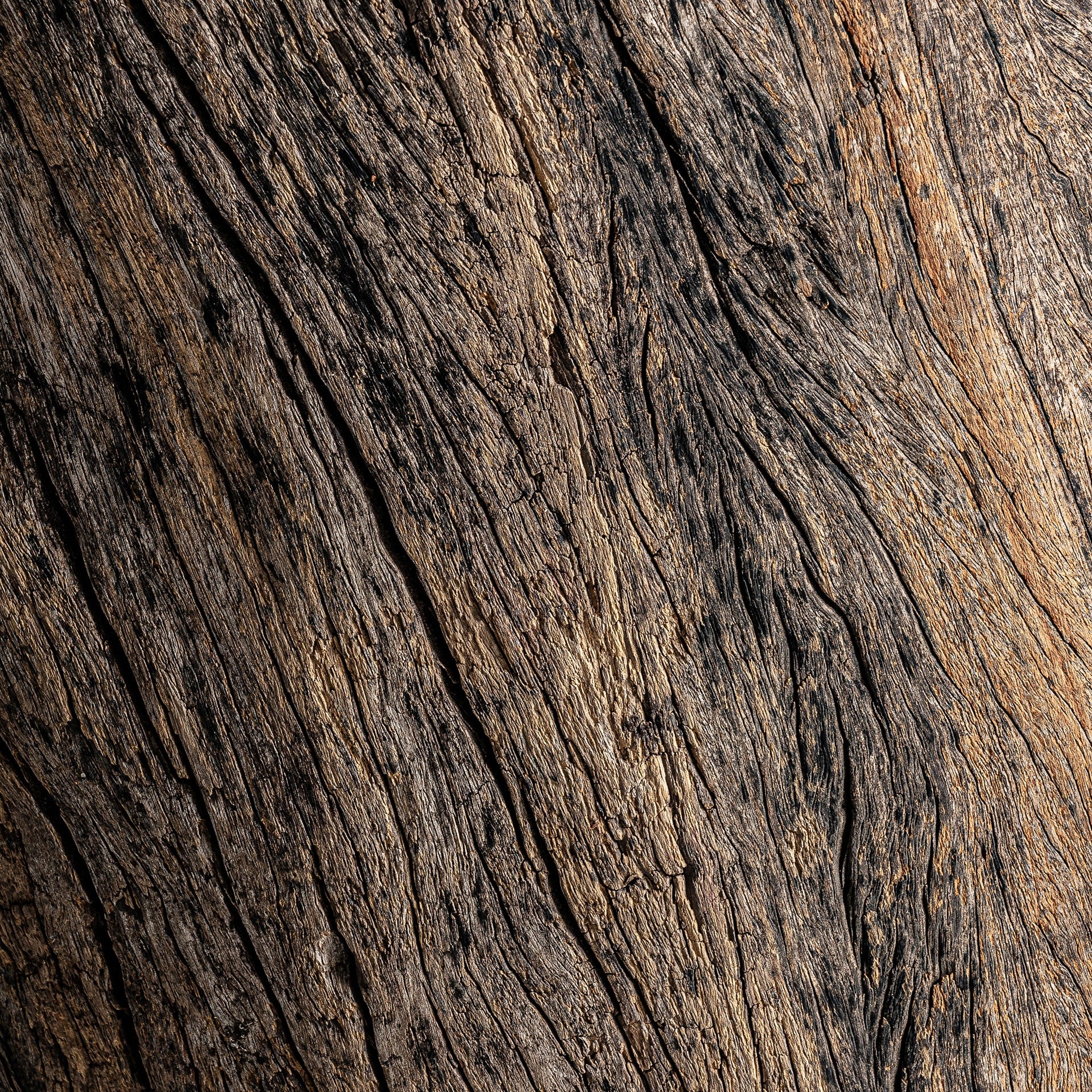 MALUNG Column Tropical Wood