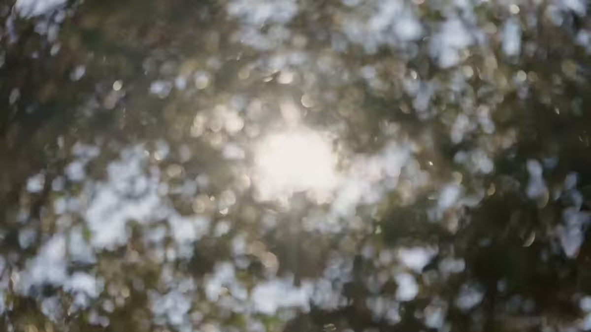 COMOVA Black Garden Side Table