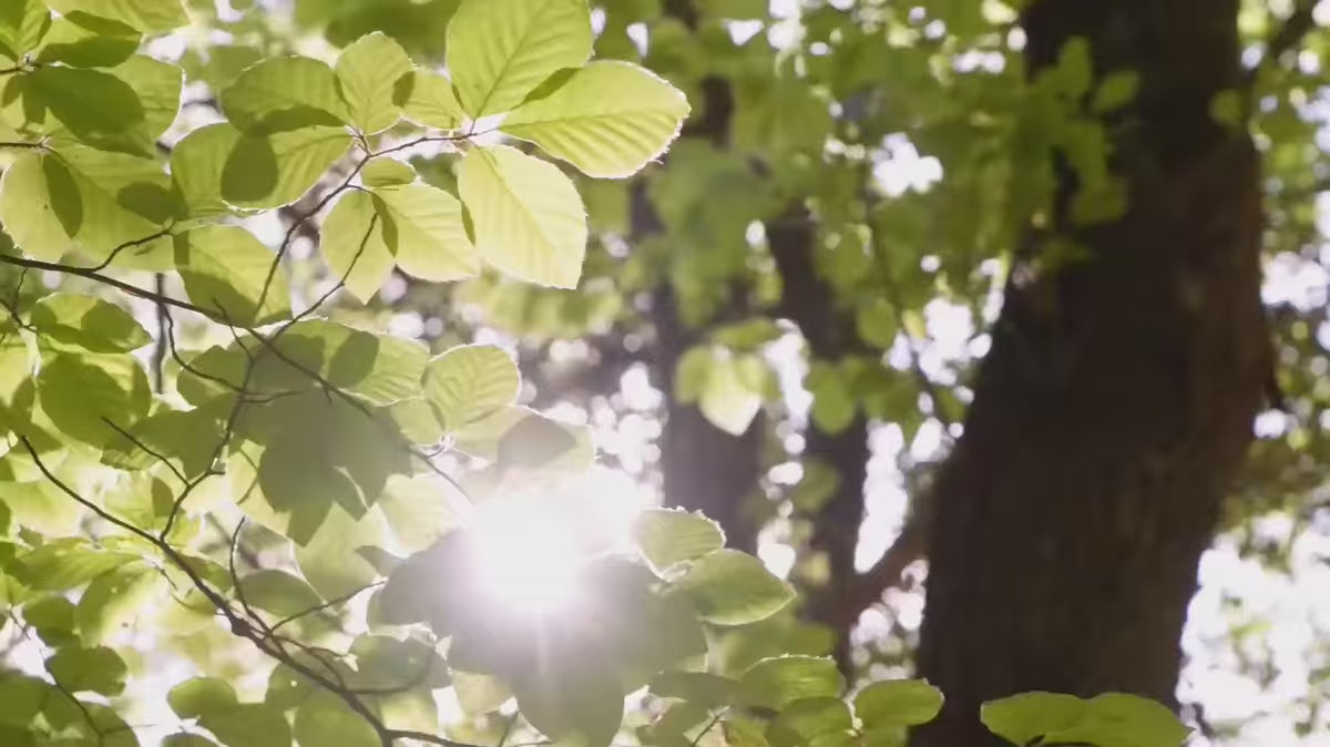 Stołek dziecięcy DILCIA lite drewno kauczukowe