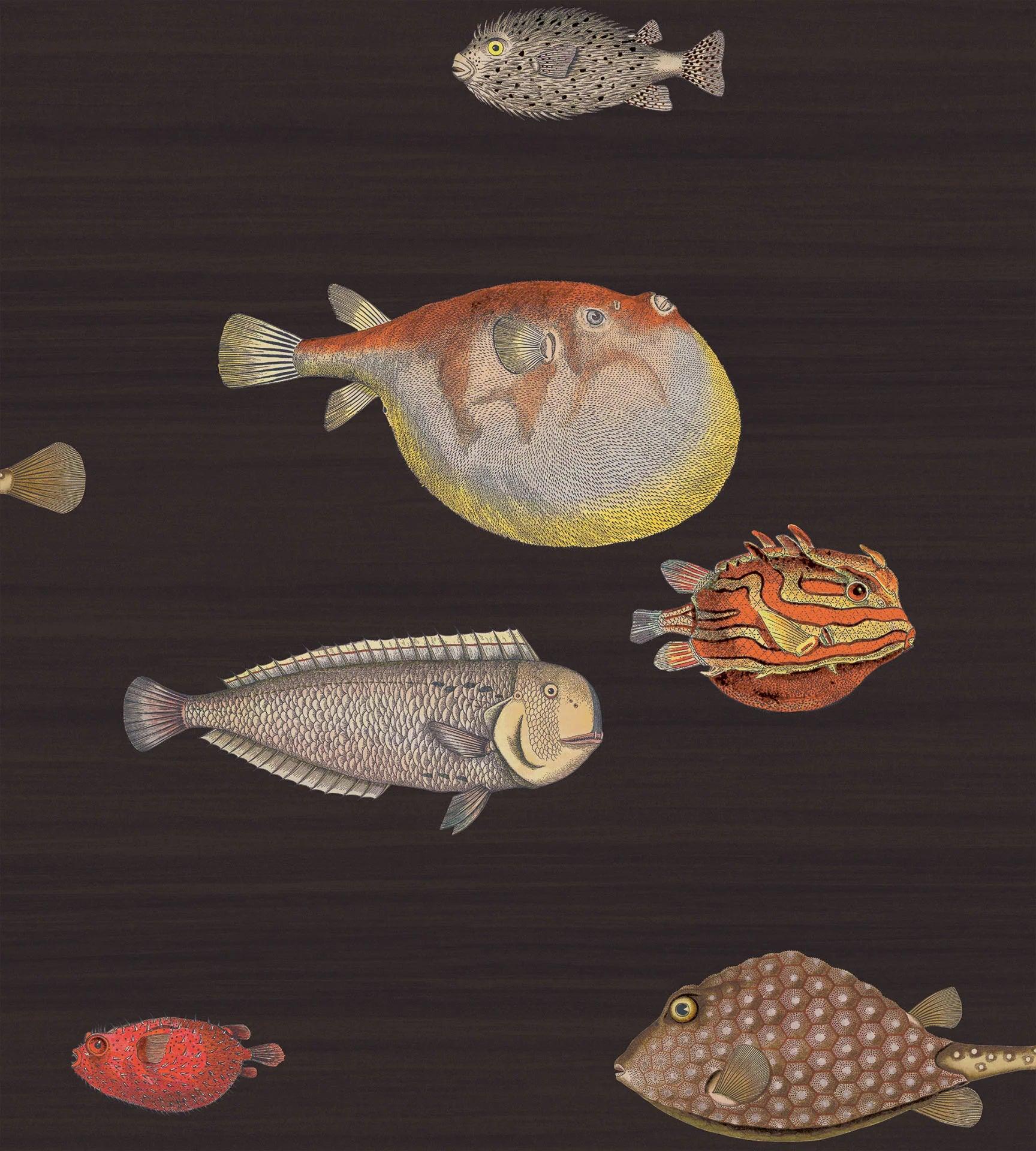 Tapeta FORNASETTI - Acquario czarny Cole & Son Default Title   Eye on Design