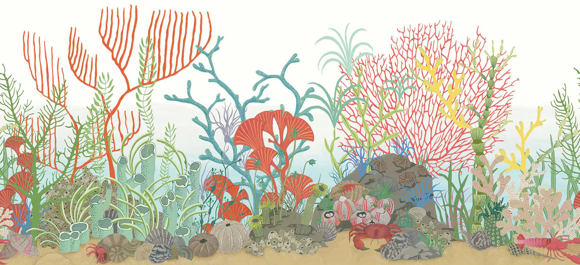 Tapeta border z motywem morskim koralowca WHIMSICAL - Archipelago Border niebieski z czerownym